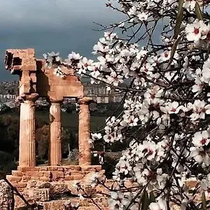 Alfa Quadro Bed & Breakfast Agrigento